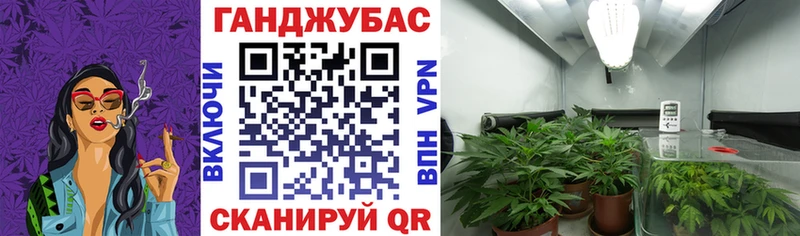 наркота  Медвежьегорск  Каннабис марихуана 